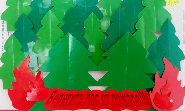 Аппликация на тему береги лес