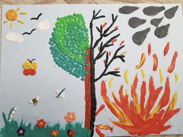 Коллективная работа берегите лес