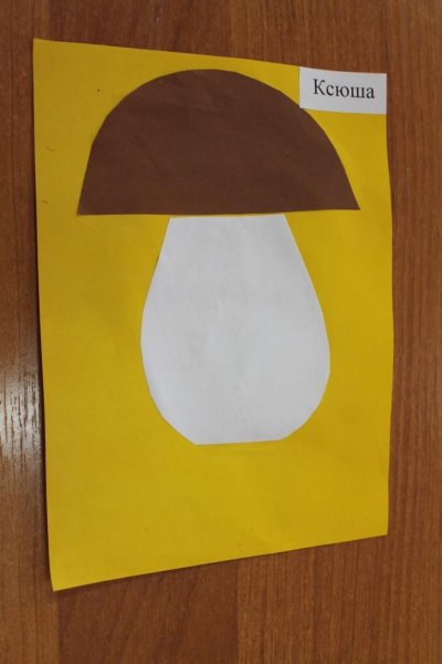 Аппликация грибы в средней группе