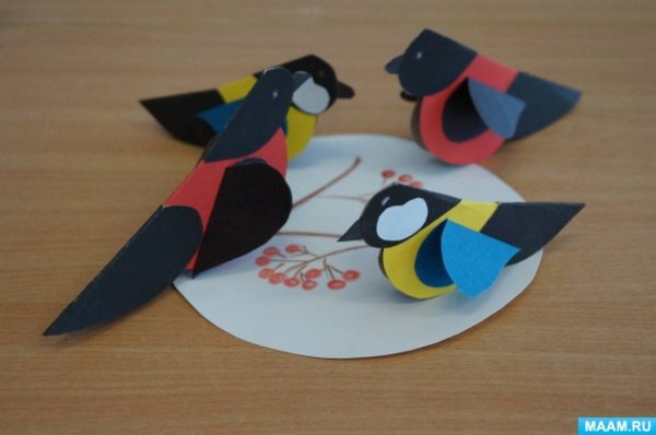 Аппликация зимующие птицы подготовительная группа
