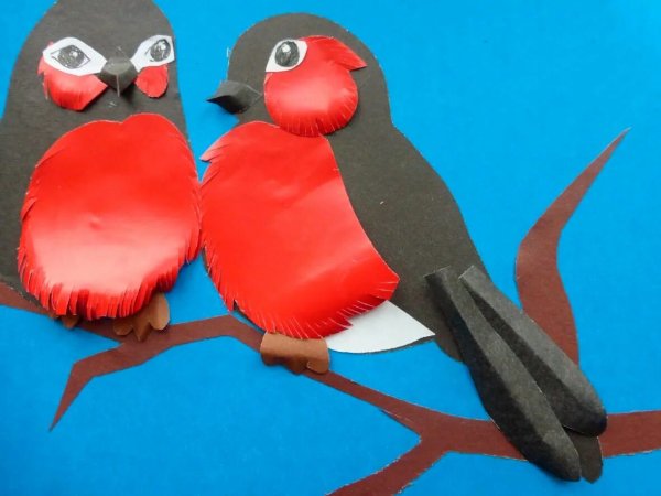 Аппликация птицы