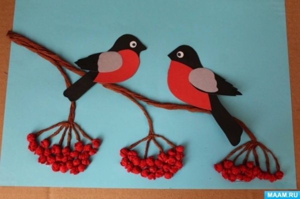 Снегирь на ветке рябины