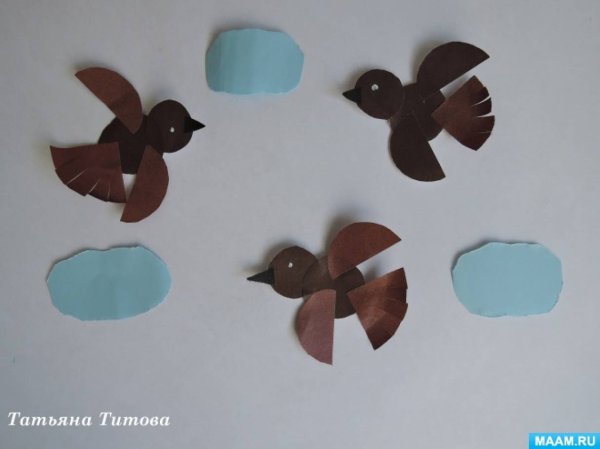 Птицы подготовительная группа