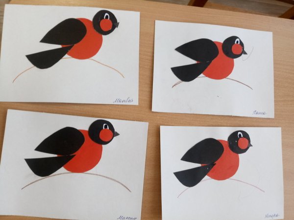 Конспект аппликации в средней группе зимующие птицы