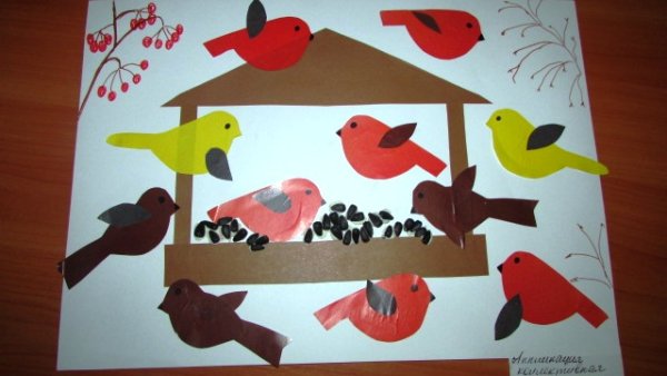 Птицы подготовительная группа