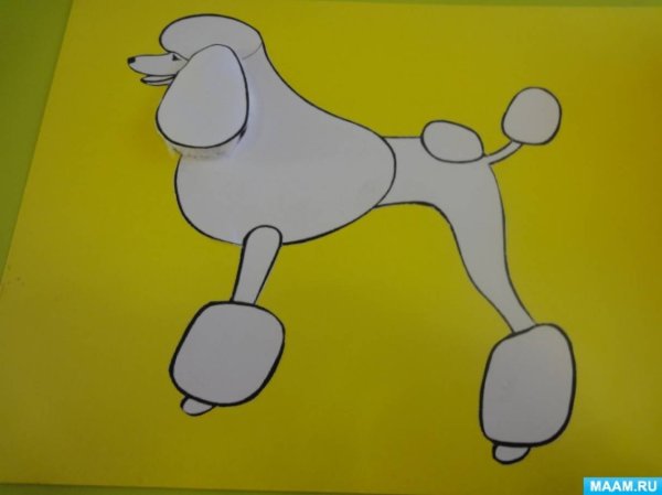 Аппликация пудель из ватных