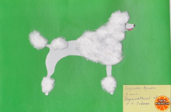 Пудель аппликация из ваты