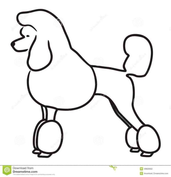 Пудель трафарет