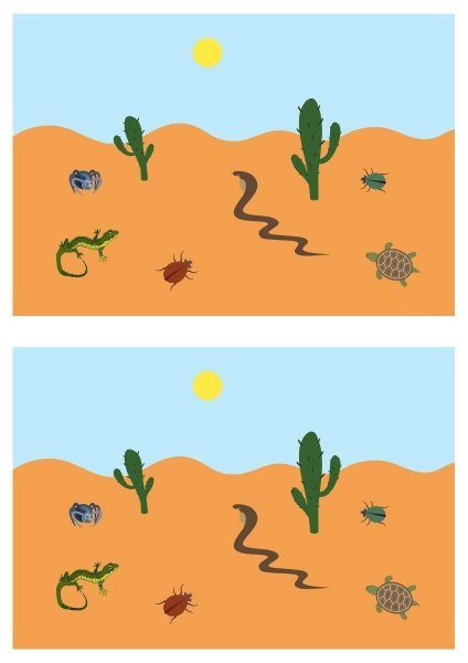 Аппликация пустыня