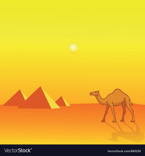 Вид пустыни для аппликации