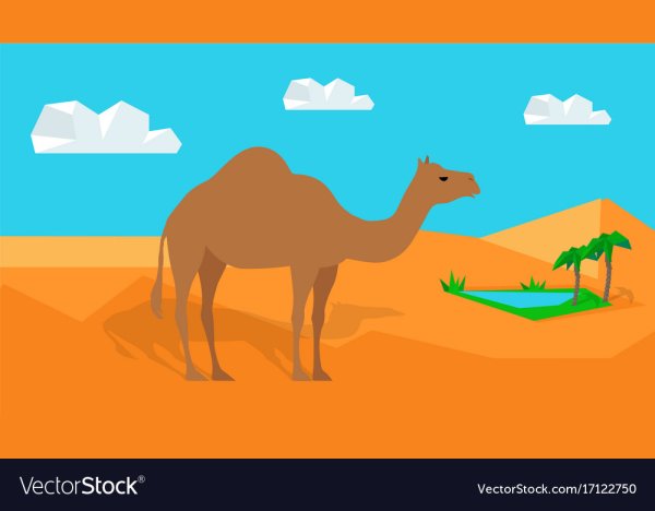 Города пустыни рисунки