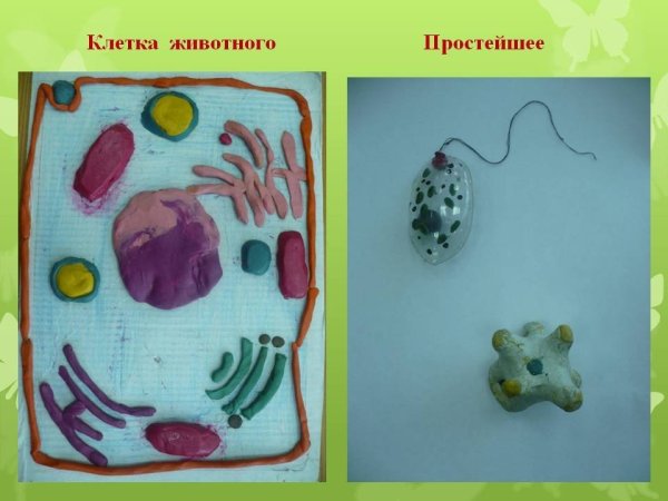 Клетка из пластилина