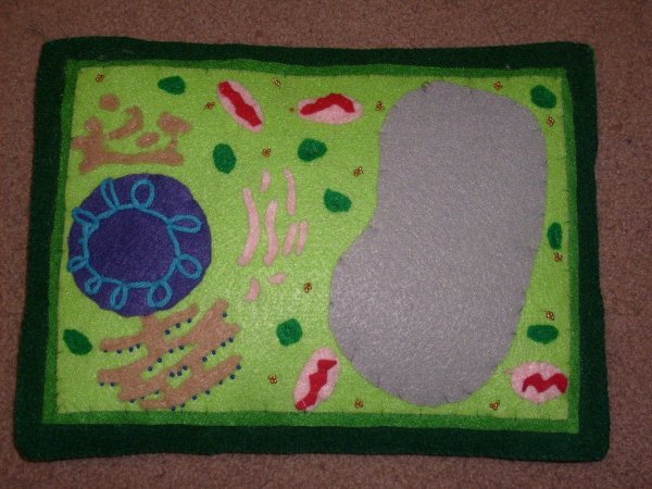 Растительная клетка из фетра