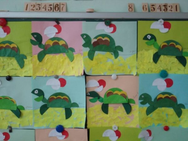 Аппликация черепаха старшая группа