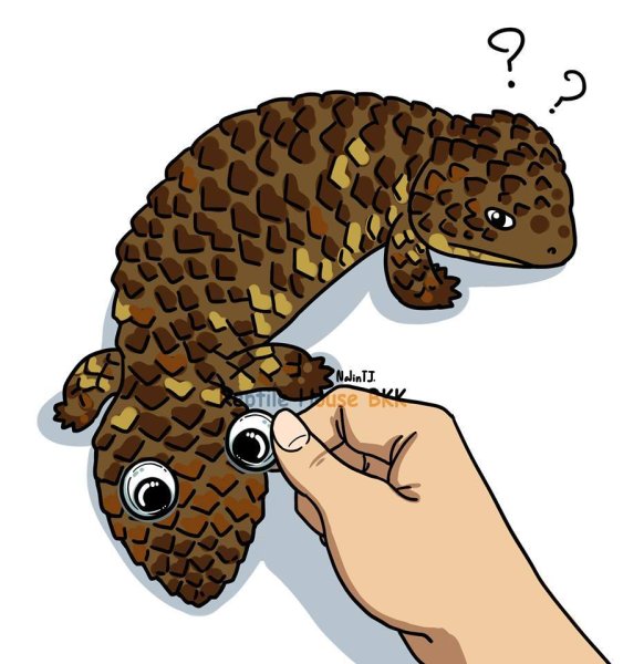 Рептилии рисунки карандашом цветным