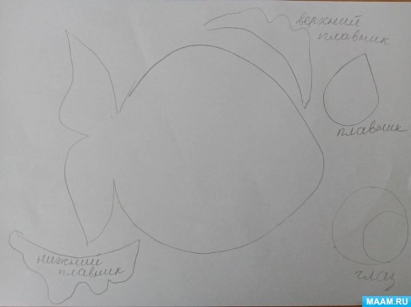 Аппликация рыбы в средней группе