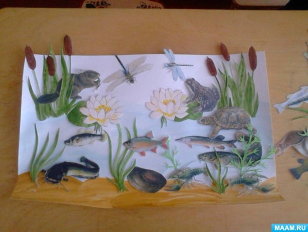 Аппликация обитатели водоемов