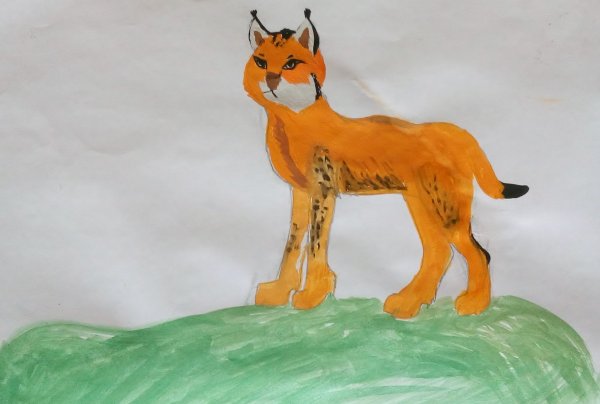 Рысь аппликация для детей