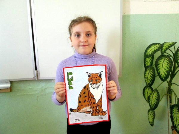 Фотоотчёт конкурса «животные из ткани своими руками».