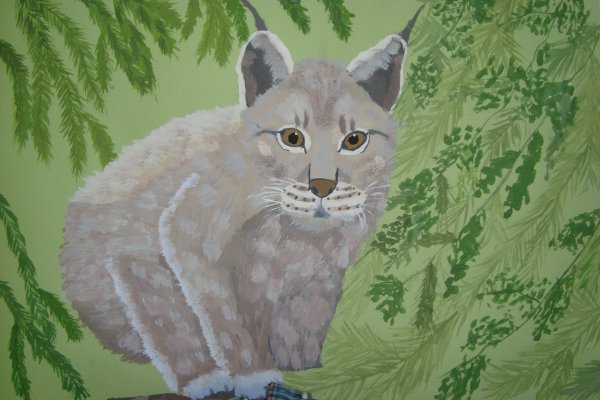 Как нарисовать Рысь