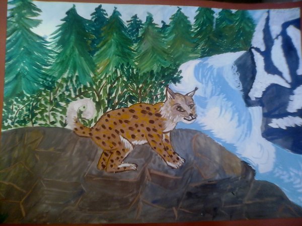 Аппликация Рысь