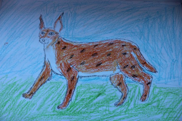 Рысь поделка для детей