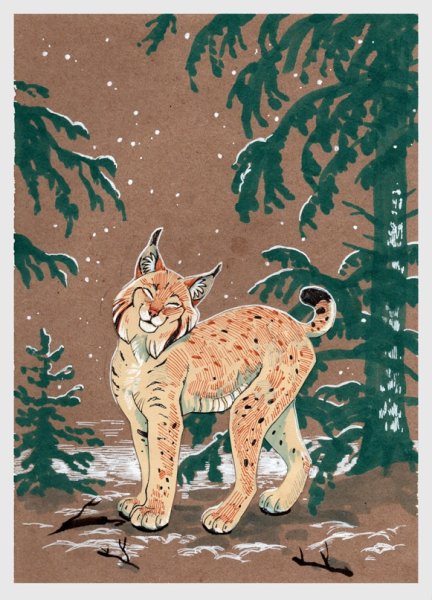 Рысь рисунок