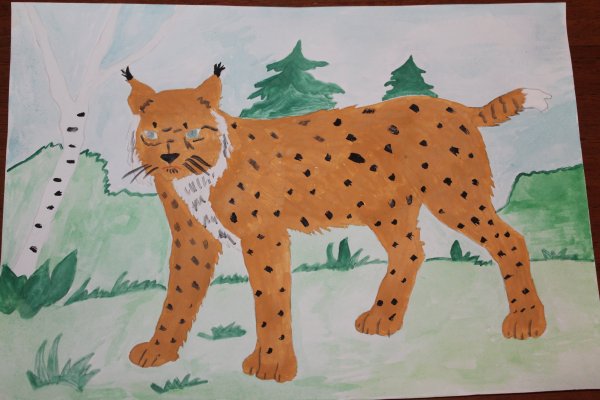 Рысь рисунок детский