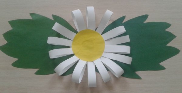 Аппликация Ромашка