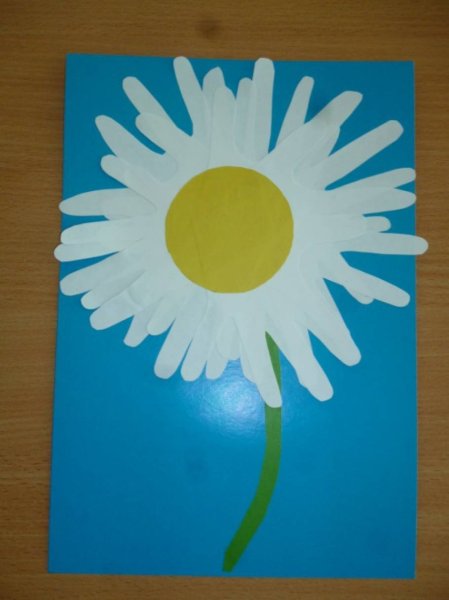 Аппликация Ромашка в средней группе