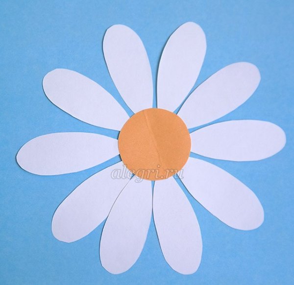 Ромашки на цветной бумаге