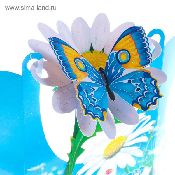 Открытки ромашки и бабочки