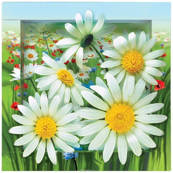 Аппликация Ромашка объемная