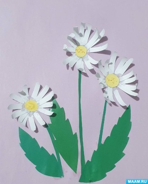 Аппликация Ромашка в старшей группе