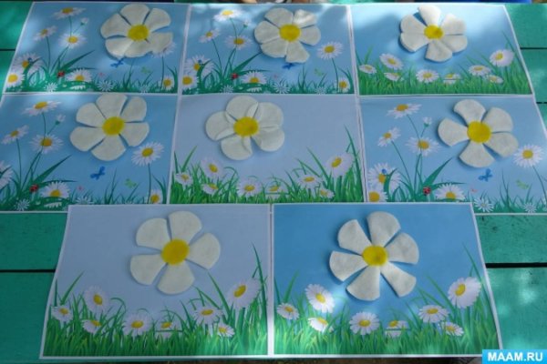 Аппликация Ромашка в средней группе