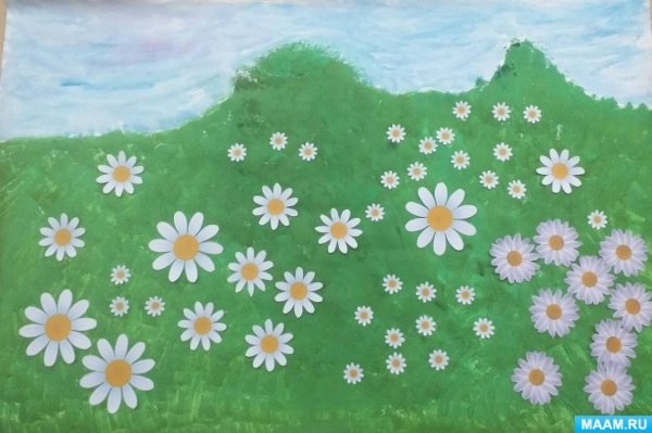 Ромашковая Полянка аппликация
