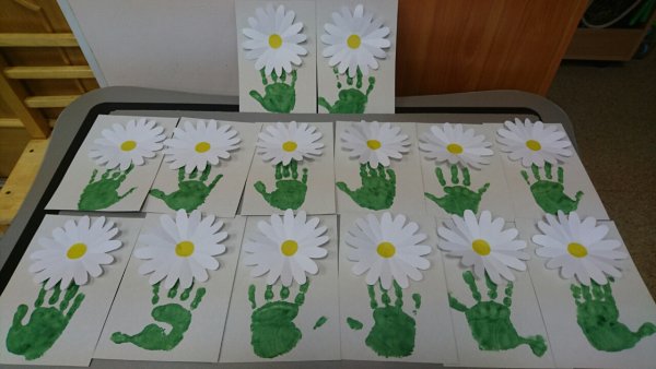 Ромашка средняя группа