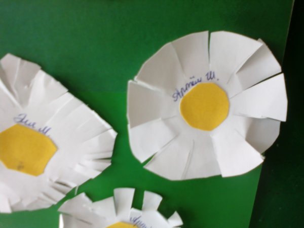 Колдина аппликация ромашки на лугу