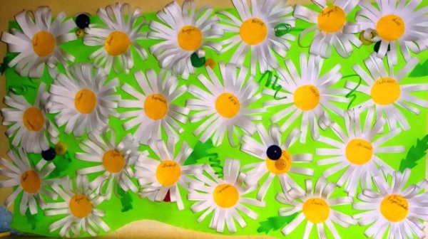 Ромашка старшая группа