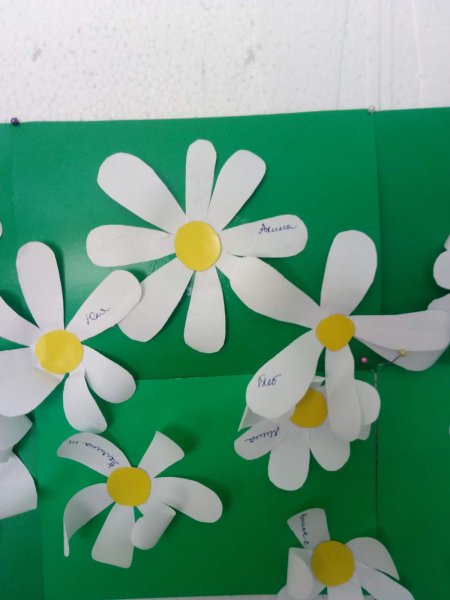 Аппликация Ромашковое поле