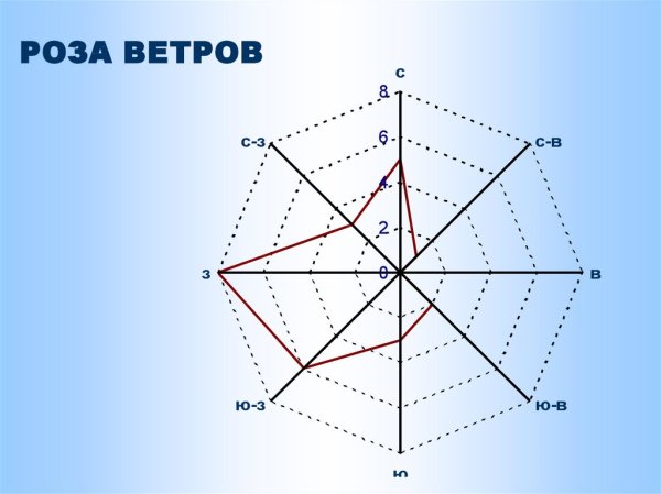 Роза ветров Барнаул 2022