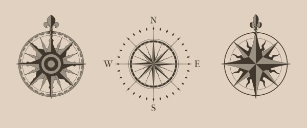 Роза ветров Саранск