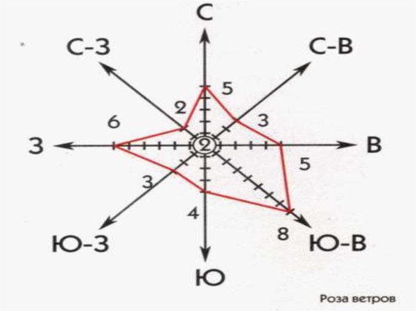 Лепестковая диаграмма роза ветров