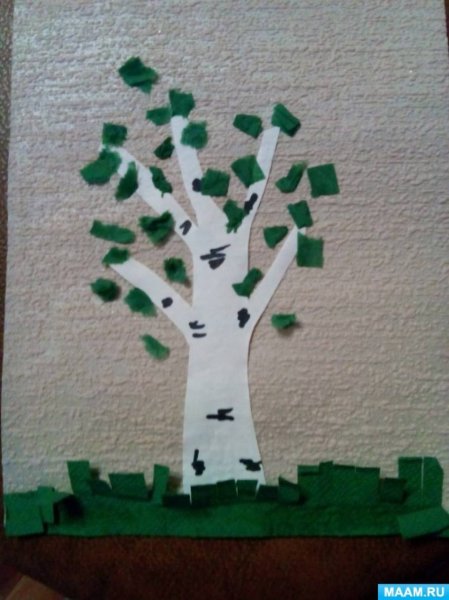 Обрывная аппликация Березка старшая группа