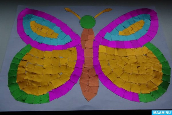 Обрывная аппликация бабочка