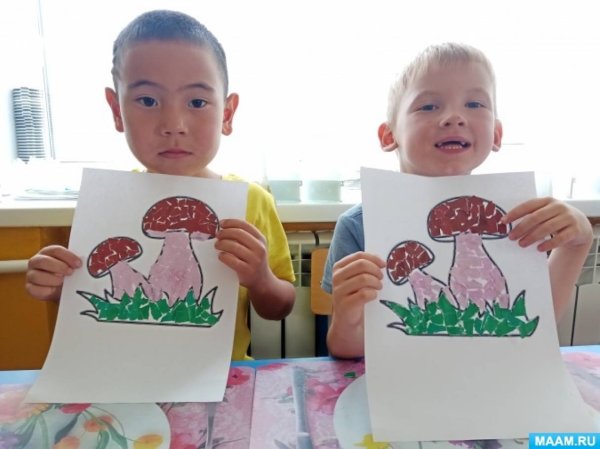 Гриб Боровик Обрывная аппликация