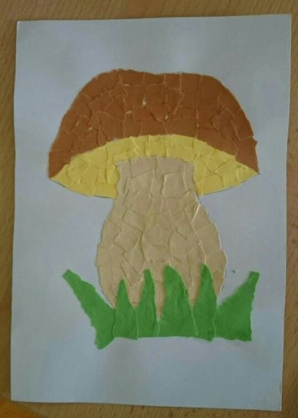 Гриб Боровик Обрывная аппликация