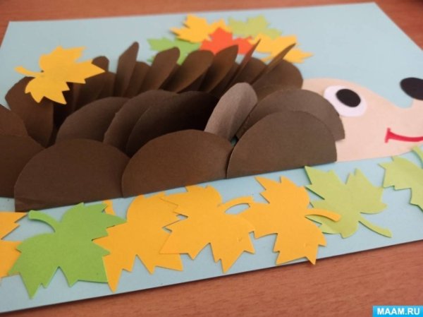 АПЛИКАЦИЯЕЖИК подготовительная группа