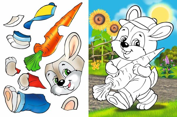 Цветные раскраски для детей