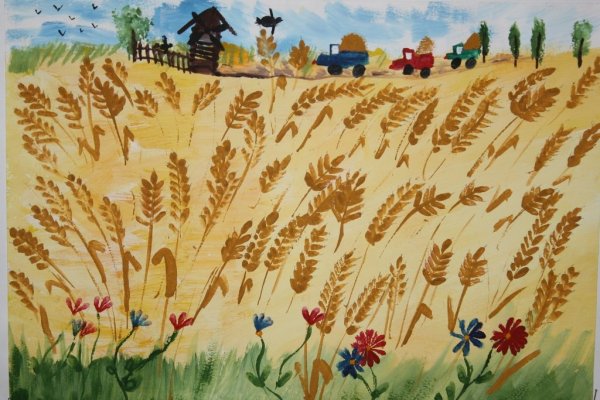 Рисование хлебное поле